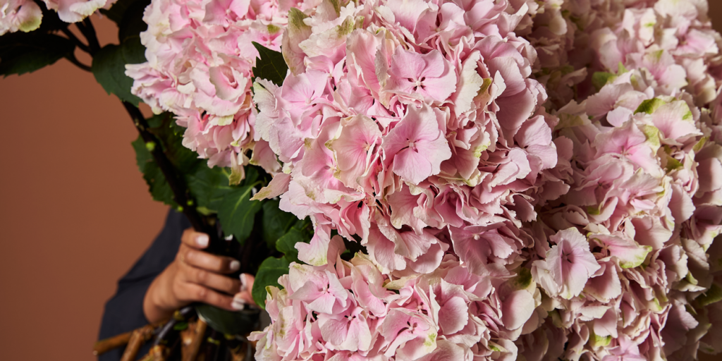 pink flowers