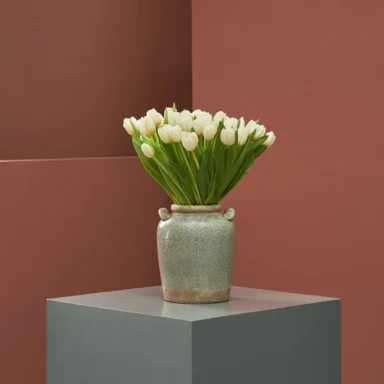 lovely white tulips new vase