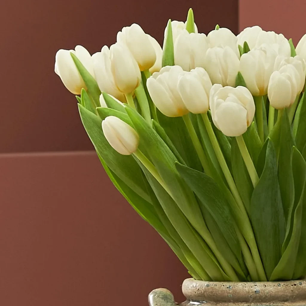 lovely white tulips new vase detailed 1
