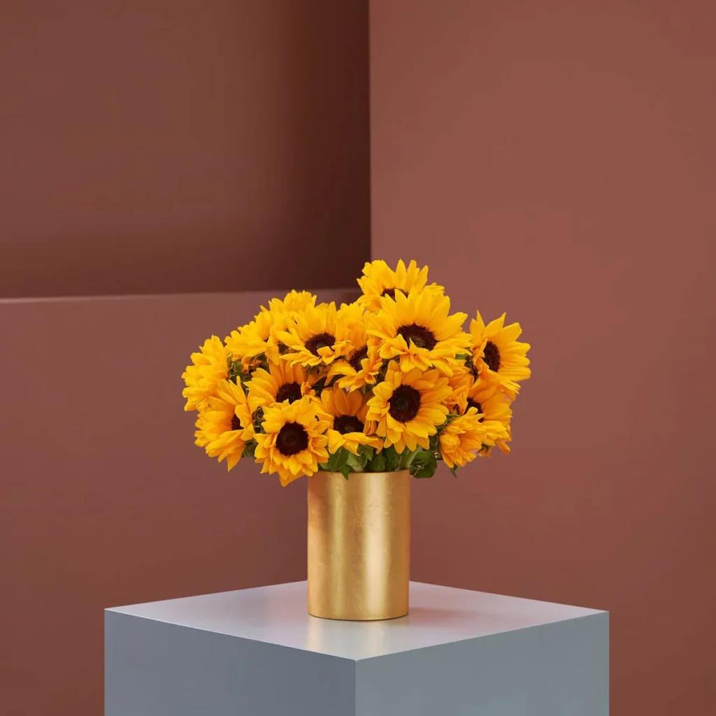 Sunflower Baby 1