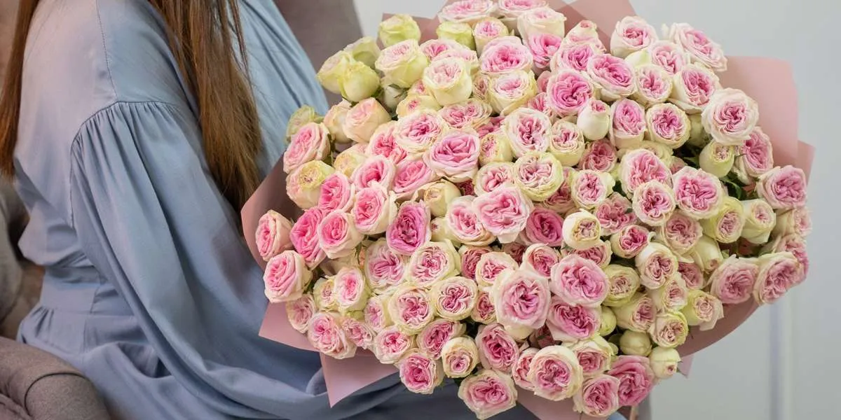 Happy Birthday pink roses  Happy birthday flower, Birthday wishes flowers,  Happy birthday greetings friends