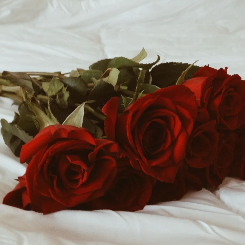 roses 2 1024x1024 1