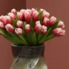 tulip kiss on a vase 2