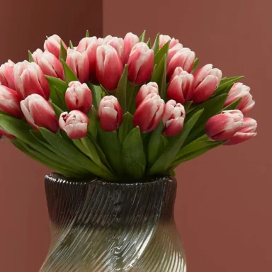 tulip kiss on a vase 2