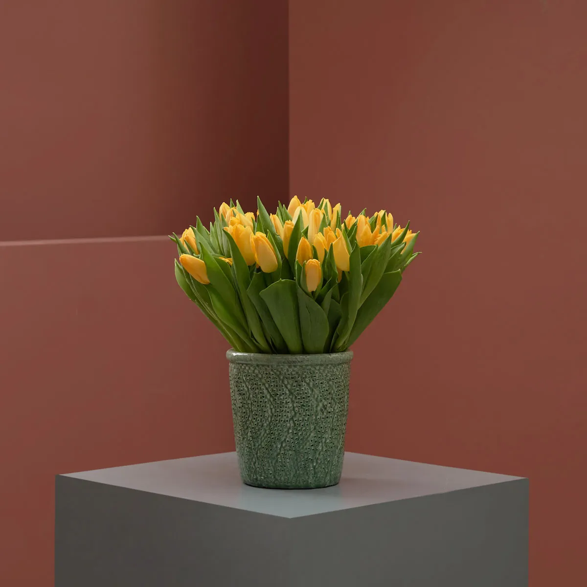 Dazzling Yellow on a Vase