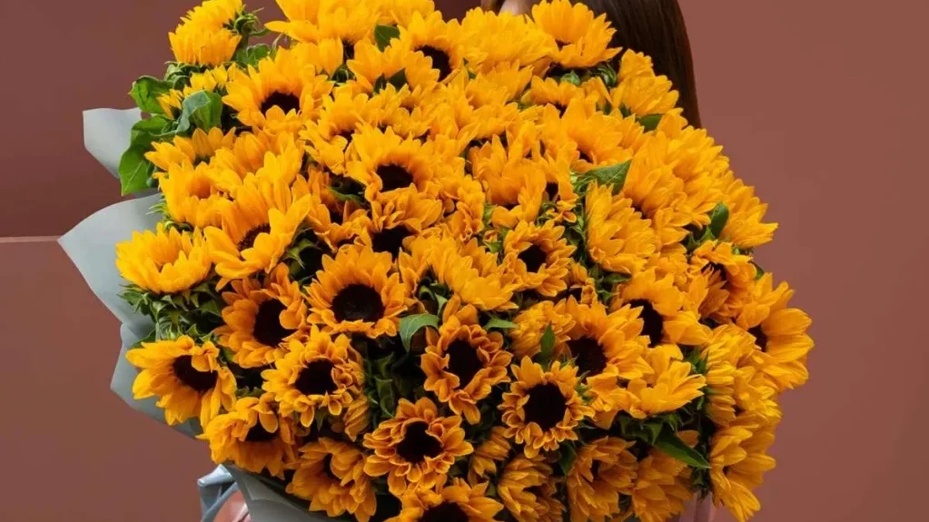 mega sunflower