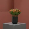 orange kiss on a vase 1