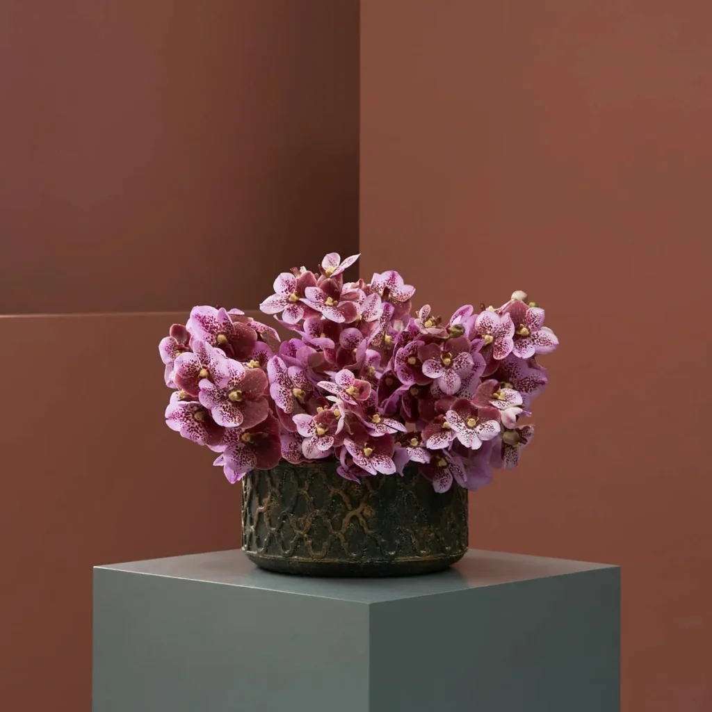 vanda special pink and mahogany new vase