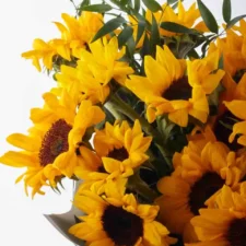 Hello Sunflower SUPERB JUNE 9 2023 1