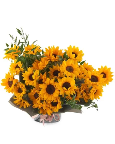 Hello Sunflower SUPERB JUNE 9 2023