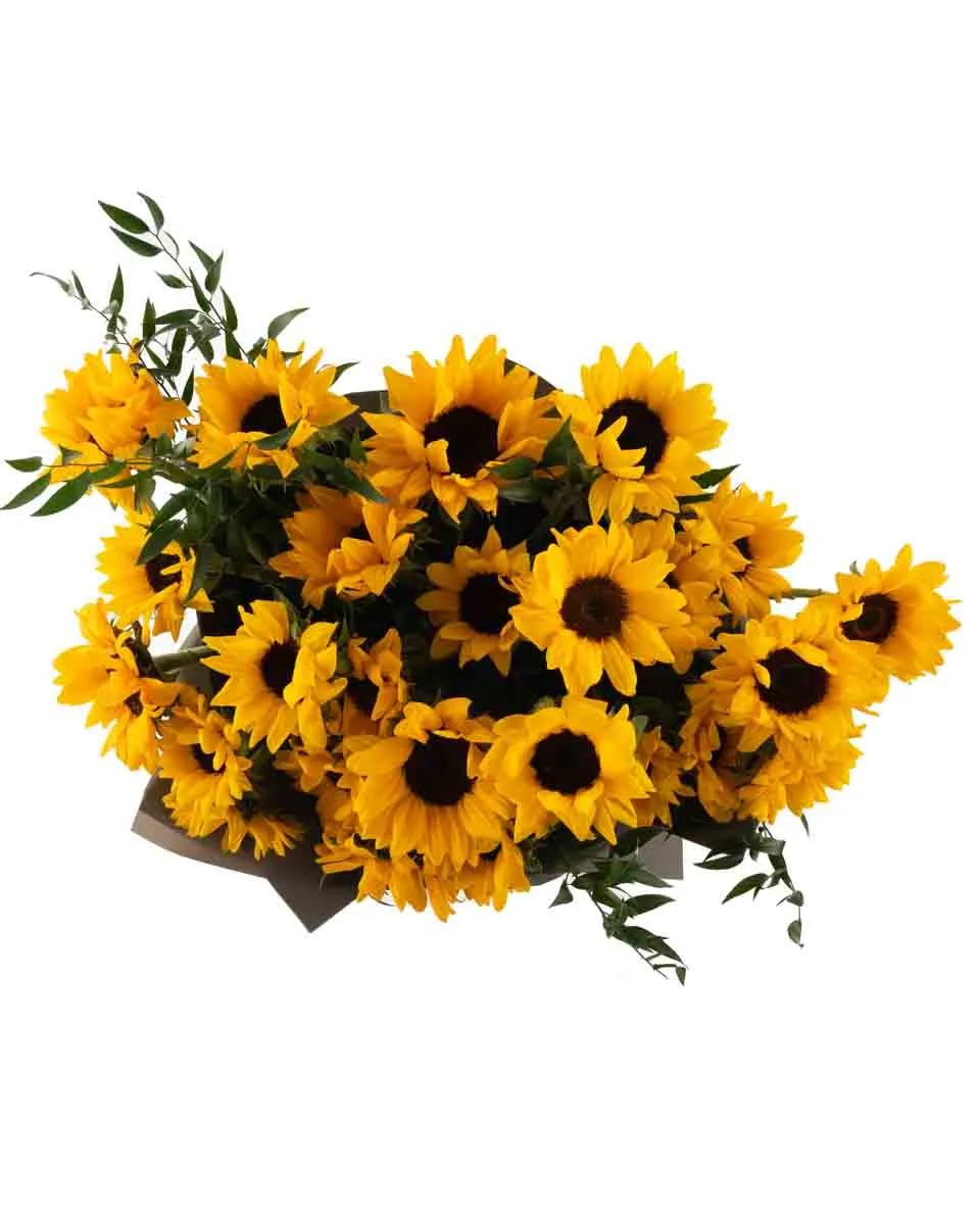 Hello Sunflower SUPERB JUNE 9 2023 top
