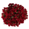 Ruby Red superb JUNE 13 2023 top