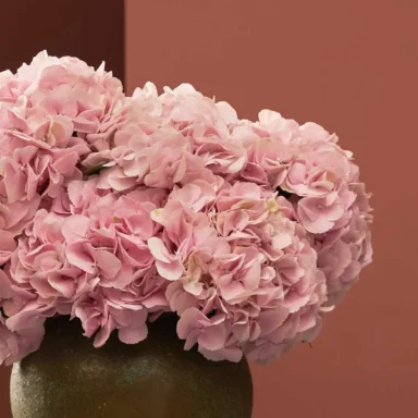 Fall for Hydrangeas Pink Green Vase Detailed