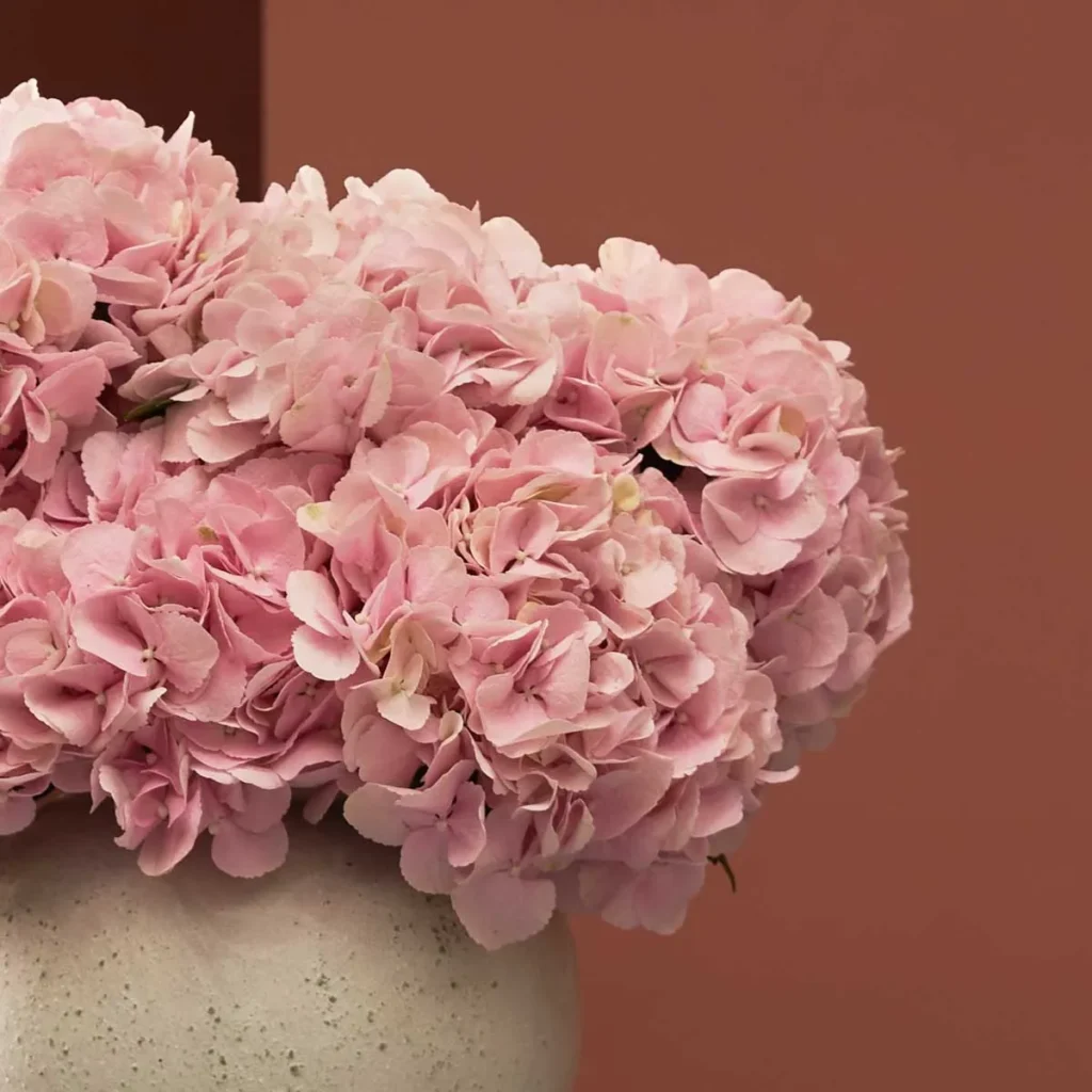 Fall for Hydrangeas Pink White Vase Detailed
