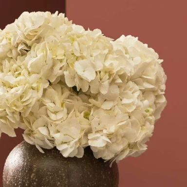 Fall for Hydrangeas White Brown Vase Detailed