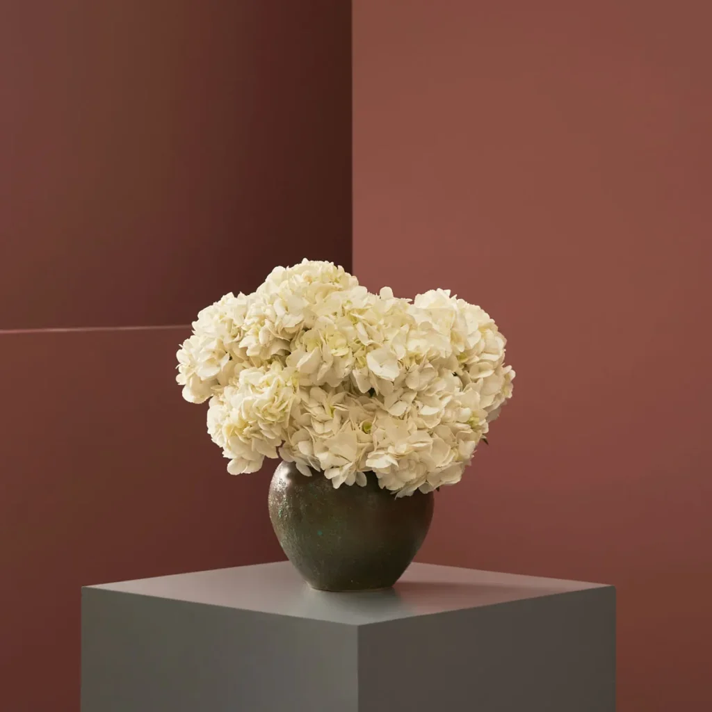 Fall for Hydrangeas White Green Vase