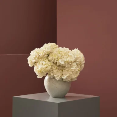 Fall for Hydrangeas White White Vase