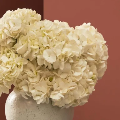 Fall for Hydrangeas White White Vase Detailed