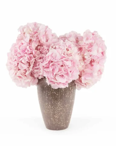 One in a Million pink flower on brown vase JUNE 17 2023