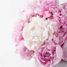 Peonies For You white vase JUNE 14 2023