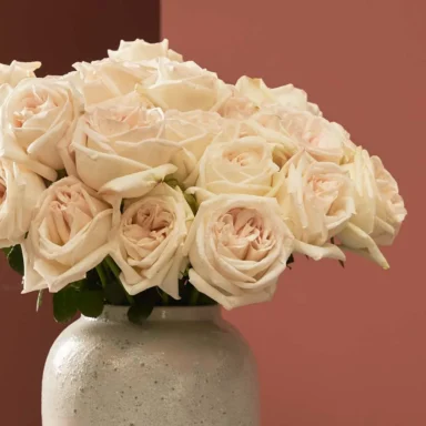 send my love white ohara white vase detailed