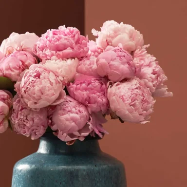 send peonies small detailed