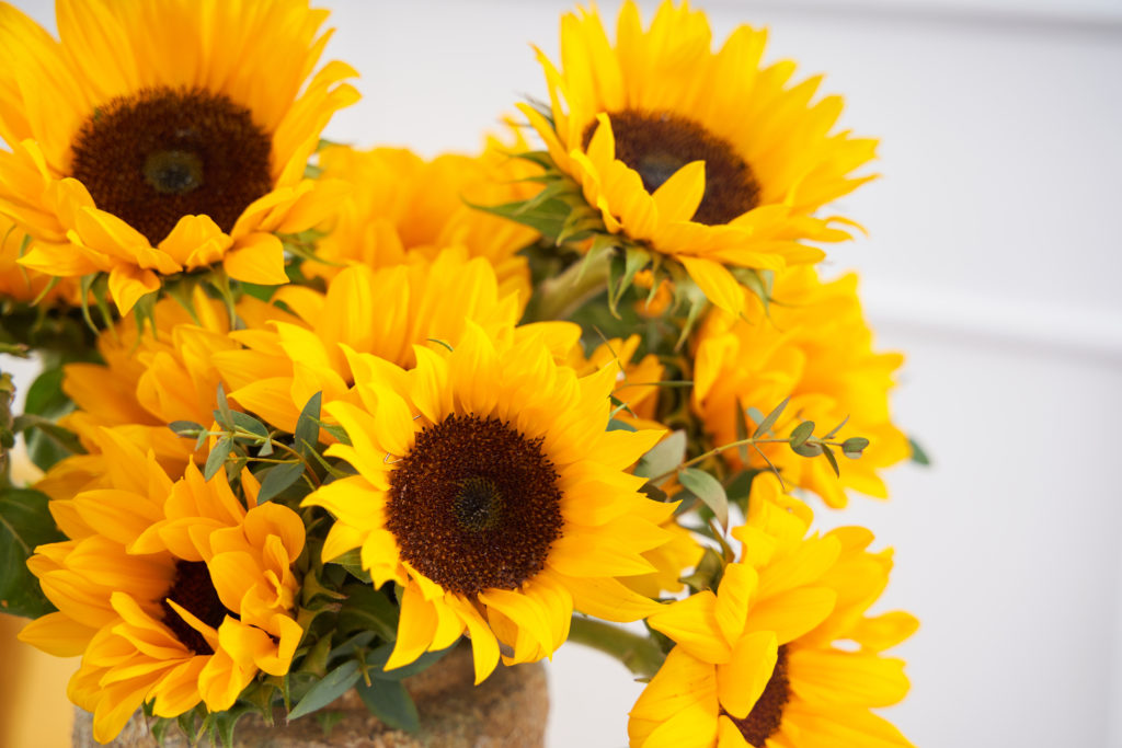 sunflowers for your wife's birthday