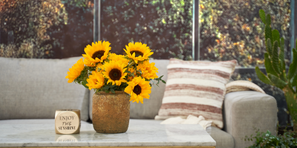 Top tips for keeping sunflowers alive