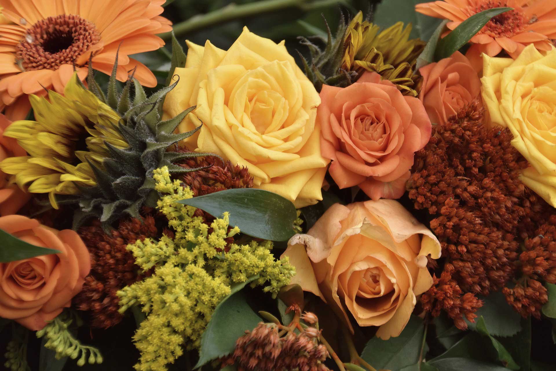 mapperton autumn floral edit