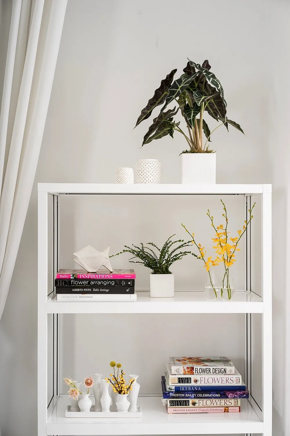 Foliage on bookshelf