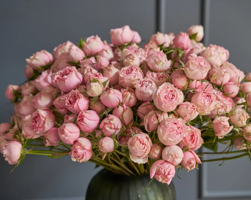 Pink rose 1024x819 1