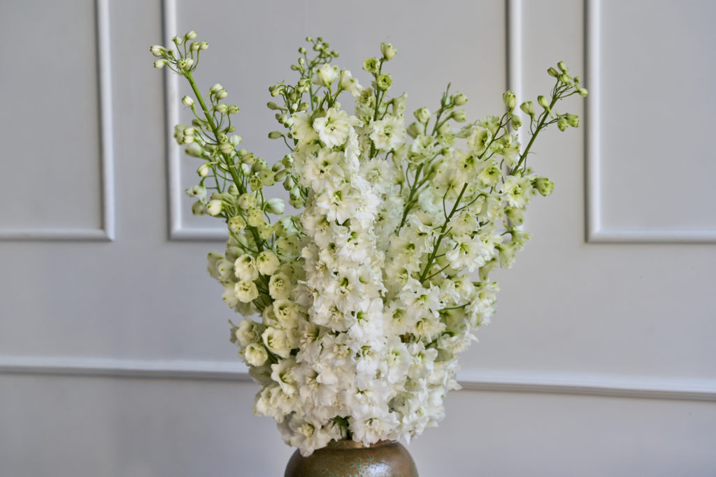 STYLING OCTOBER 20 2022 98 1024x683 1