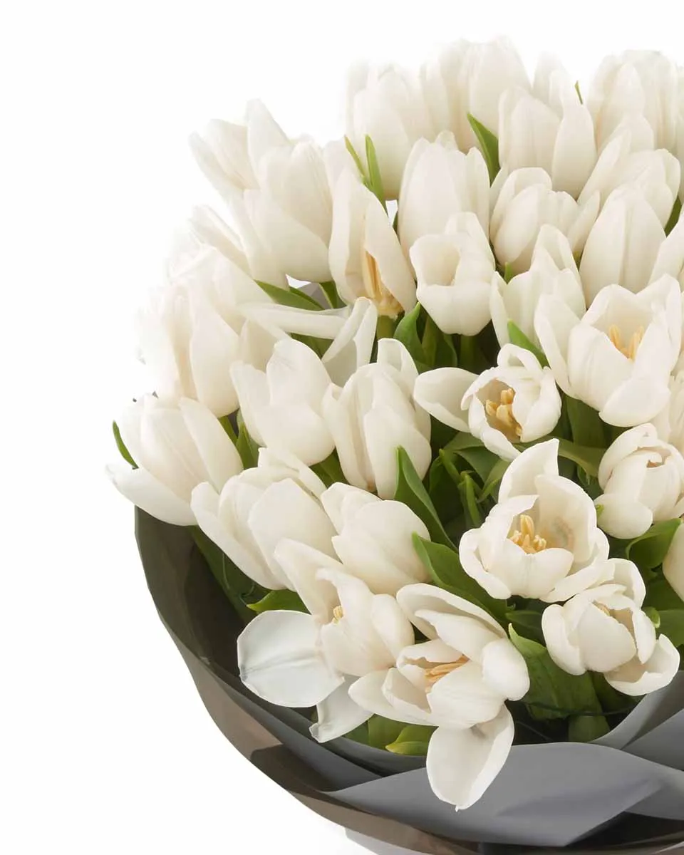 White Tulip 50 stems NEW ITEM 27 JUNE 24 2023