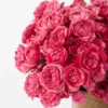 Raspberry Bloomsnew vase JUNE 12 2023 1