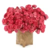 Raspberry Bloomsnew vase JUNE 12 2023