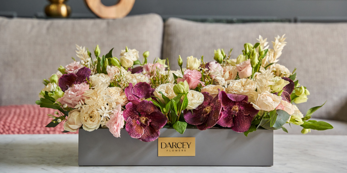 How to take care of Flower boxes