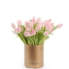 Charming Pink Tulips JUNE 24 2023