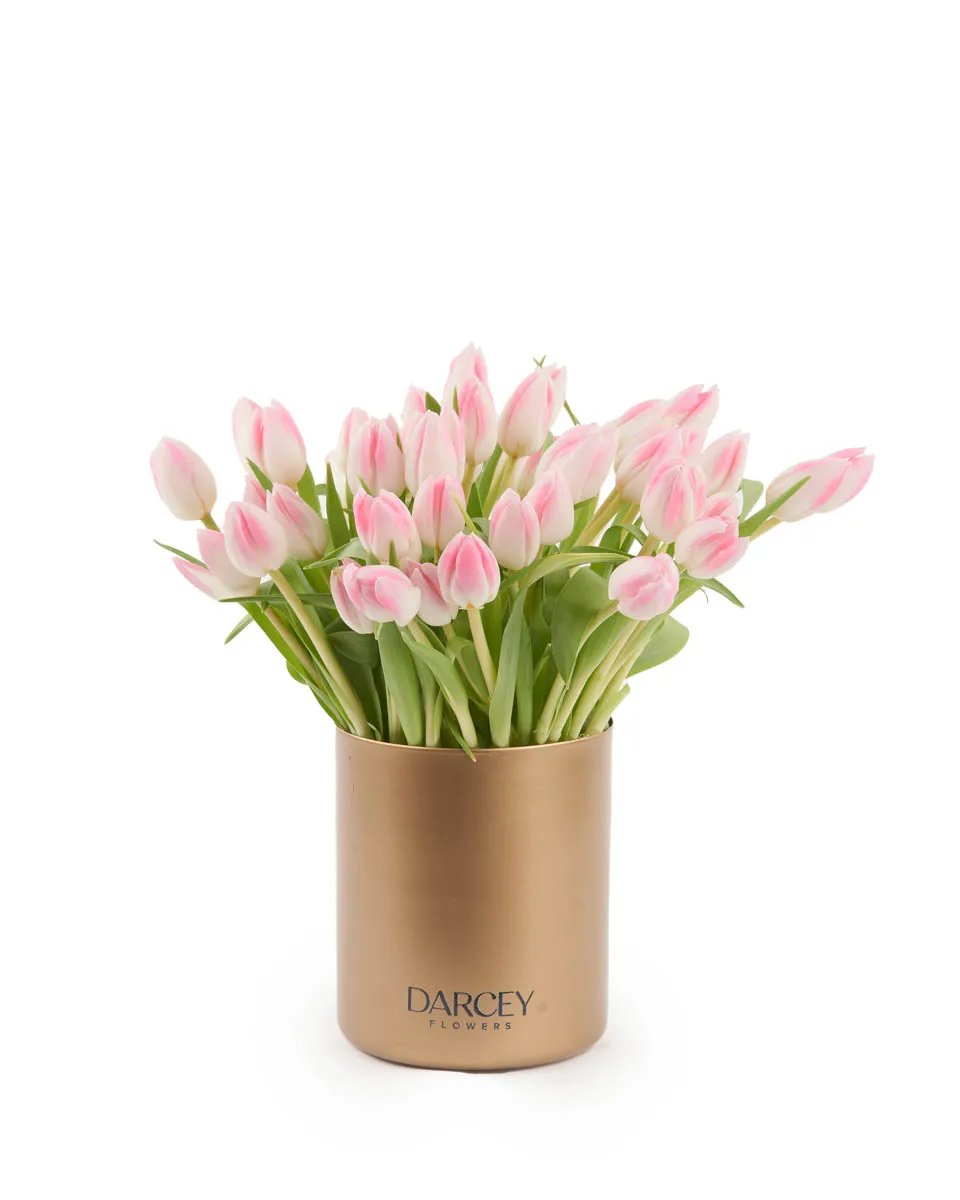 Charming Pink Tulips JUNE 24 2023