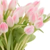 Charming Pink Tulips JUNE 24 2023 1