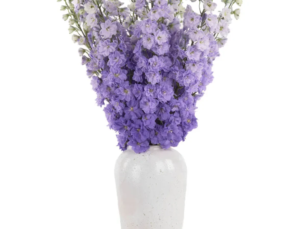 Purple Flowers Bouquets and Arrangements Dubai
