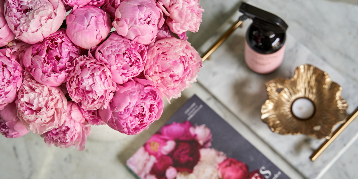 Untitled design 12 1