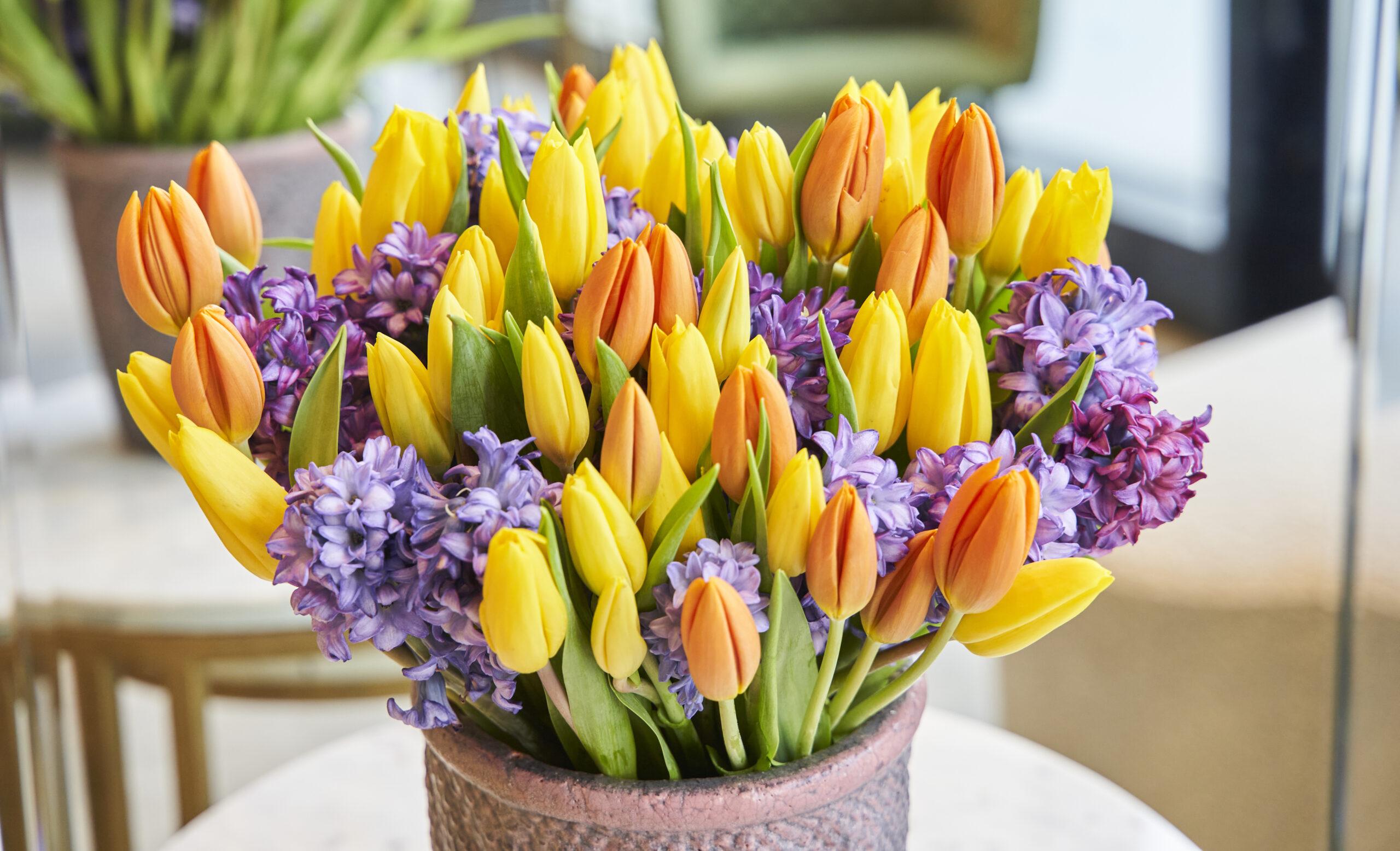 Colorful Tulips scaled 1