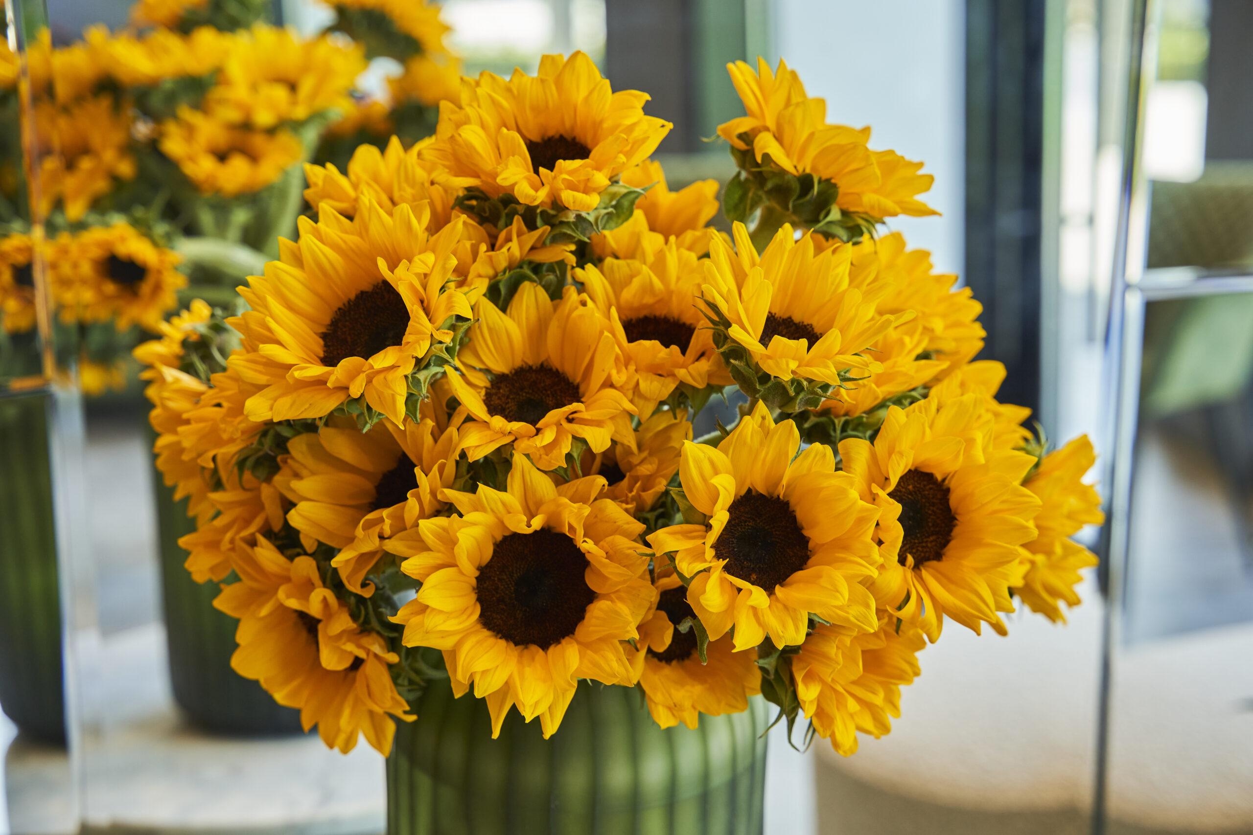 Dazzling Sunflowers scaled 1