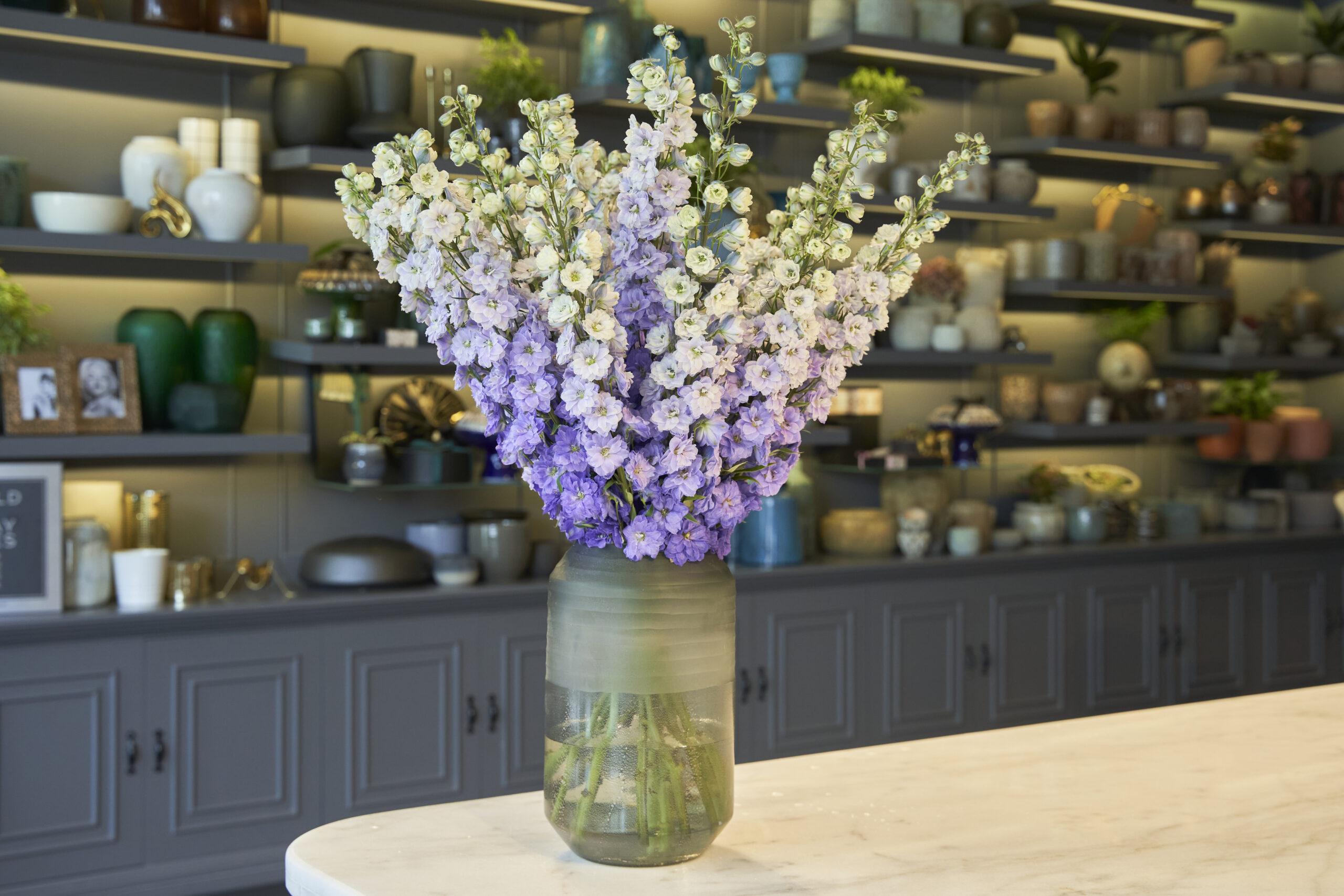 Purple Delphiniums scaled 1