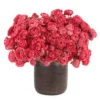 Raspberry Bloomsnew vase JUNE 12 2023 2