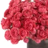 Raspberry Bloomsnew vase JUNE 12 2023 copy