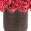 Raspberry Bloomsnew vase JUNE 12 2023 3 copy