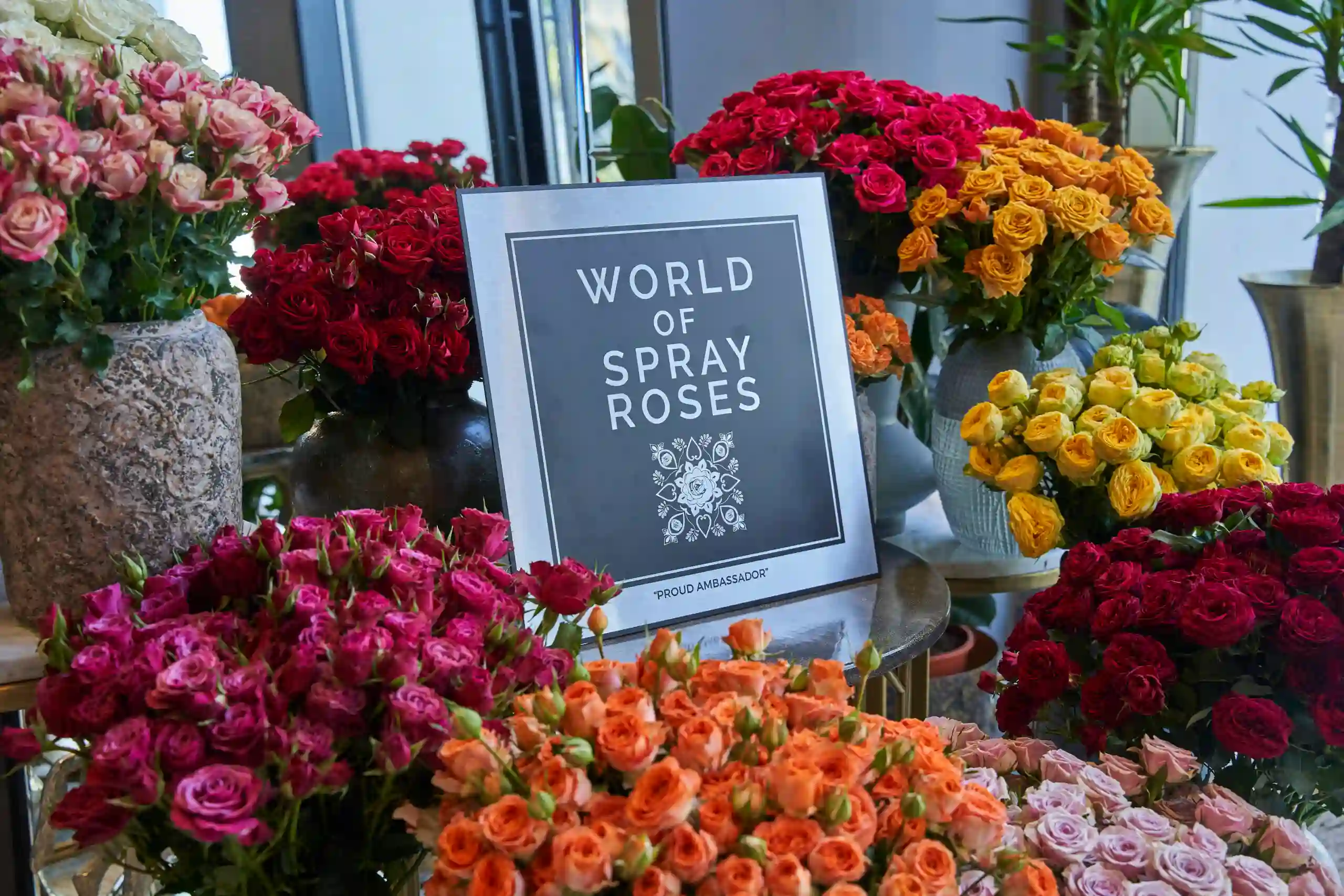 spray roses