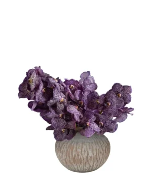 Belvoed Favorite Edited