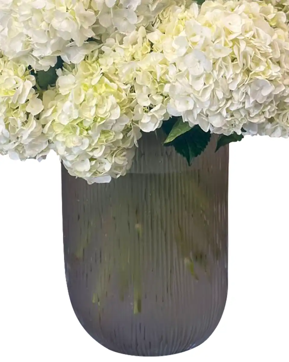 White Candy Cloud new4